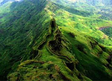 Course Image 2